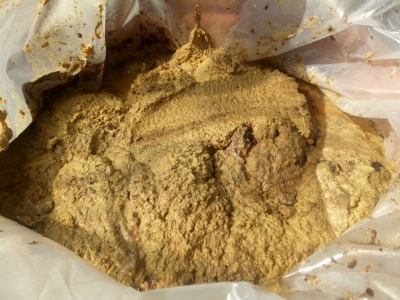 Alperujo