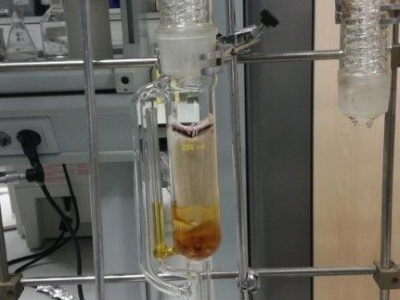 B.1.1 Extractos