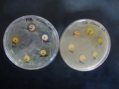 Capacidad Biocida