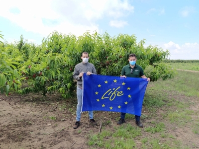 Ensayos en Finca Sinyent (abril 2021) / Trials at Finca Sinyent (April 2021)