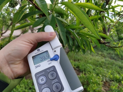 Ensayos en Finca Sinyent (abril 2021) / Trials at Finca Sinyent (April 2021)