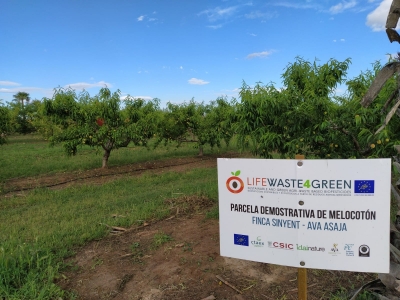 Parcela de Melocotón (Finca Sinyent) abril 2021 / Peach Plot (Finca Sinyent) April 2021