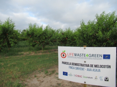 Parcela de Melocotón (Finca Sinyent) mayo 2021 / Peach Plot (Finca Sinyent) May 2021