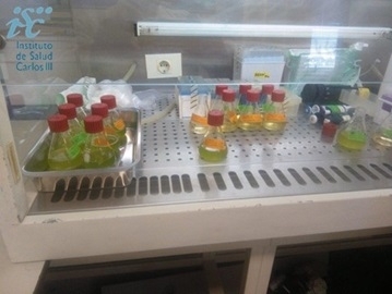 Ensayo de inhibicion de crecimiento en algas de Subspicatus